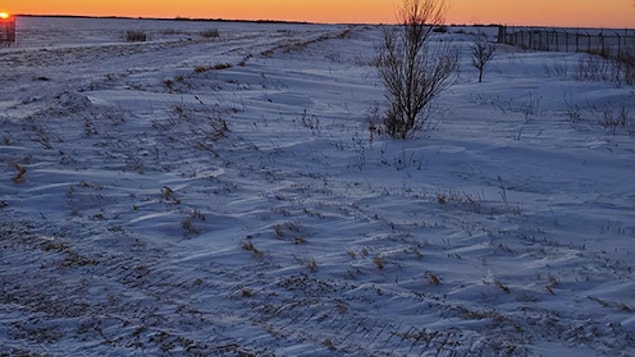 The rough area where four people, including an infant, were found dead in a Manitoba field, near the Canada-U.S. border, last Wednesday.