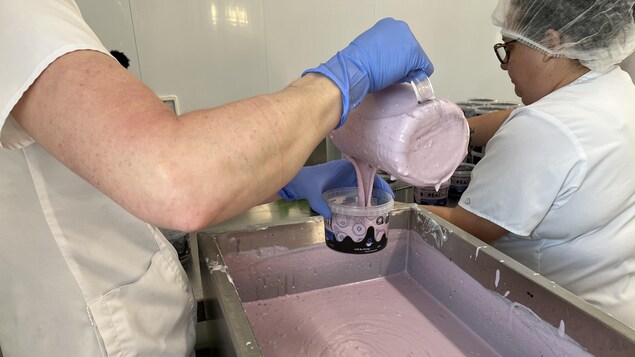 Une employée de Boréalait verse du yogourt aux bleuets dans un contenant.