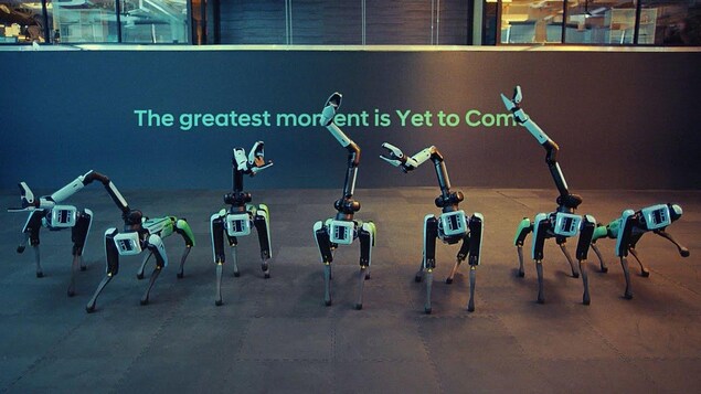 Les chiens-robots de Boston Dynamics imitent une chorégraphie de BTS