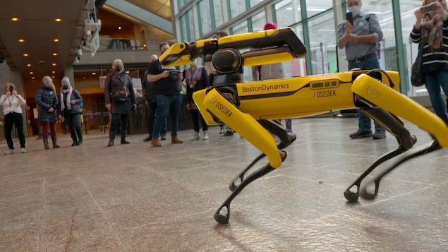 Des curieux filment un robot quadrupède dans le grand hall du Musée de la civilisation. 