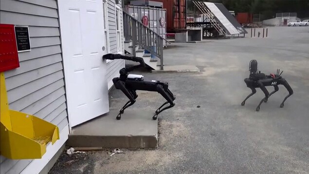 Un robot-chien de Boston Dynamics ouvre une porte tandis qu'un autre l'observe.