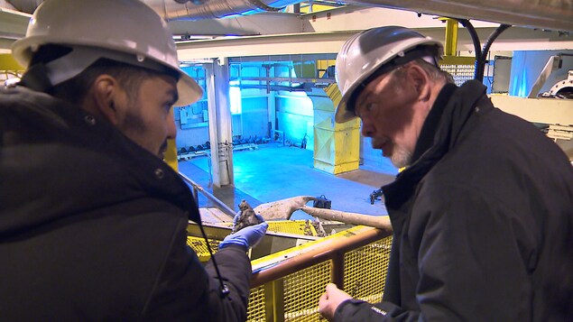 Richard Fontaine, le directeur de la station d'épuration, montre la boue produite une fois que les eaux usées sont nettoyées. Richard Fontaine, le directeur de la station d'épuration, montre la boue produite une fois que les eaux usées sont nettoyées.