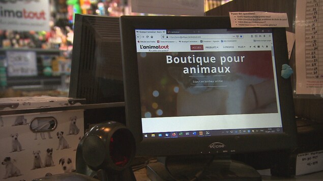 La page web de l'animatout.