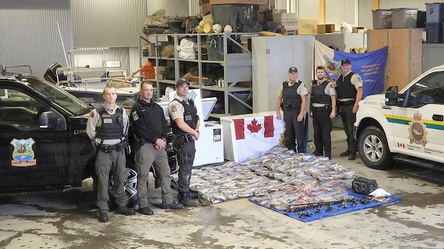 Des agents de la faune ont saisi 45 bars rayés pêchés illégalement