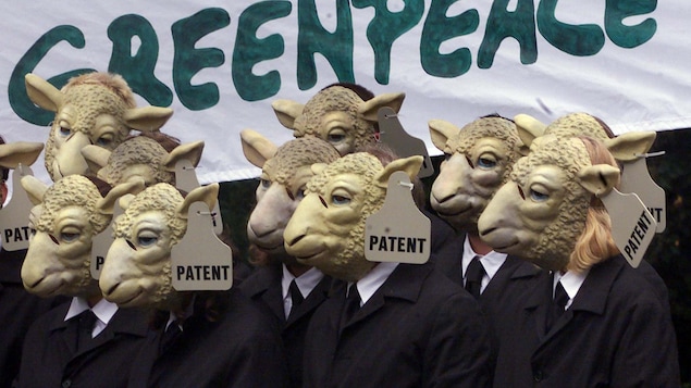 Des activistes de Greenpeace manifestent à Munich en 1999 contre le clonage humain. Des activistes de Greenpeace manifestent à Munich en 1999 contre le clonage humain.