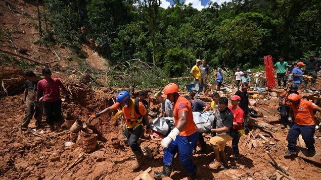 Inondations au Brésil : 44 morts et 38 personnes portées disparues