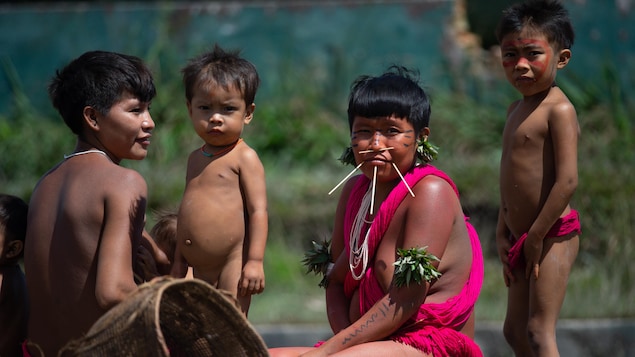 Brazil: An investigation opened into the “genocide” of the Yanomami