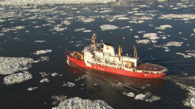 Le navire NGCC Amundsen se trouve parmi des amas de glace.