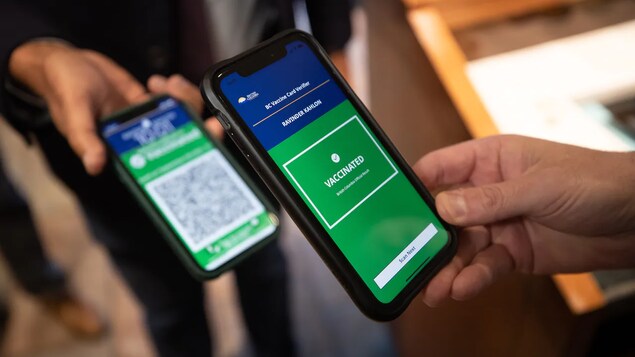 Nasa screen ng smartphone ang B.C. vaccine card verifier.