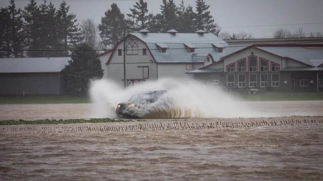A car drives on a flooded road in B.C., splashing muddy water around, with a farm and other small buildings in background.
