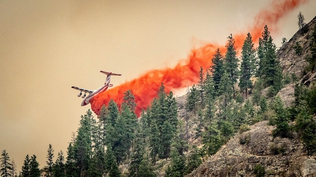 Isang aircraft na naghulog ng fire retardant sa gilid ng bundok.