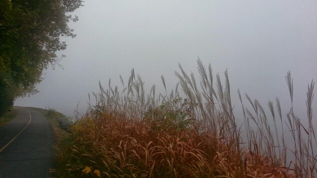 Une piste cyclable longe la rivière plongée dans le brouillard.