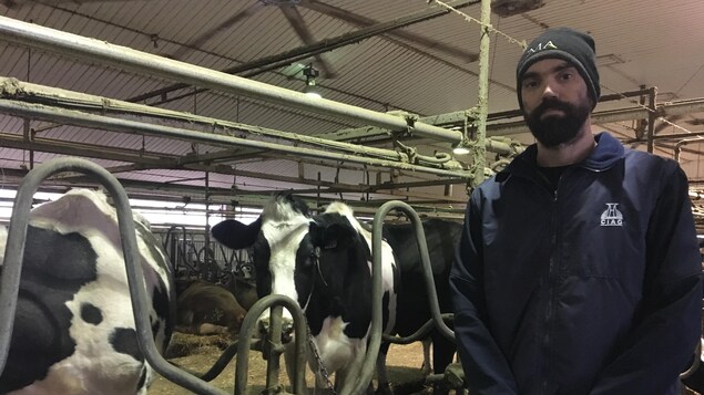 Un homme se tient debout dans sa ferme. Derrière, il y a des vaches laitières. Un homme se tient debout dans sa ferme. Derrière, il y a des vaches laitières.