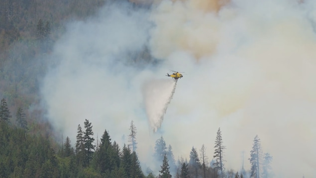  Feux de forêt en C.-B. : les prochains jours s’annoncent « critiques » 