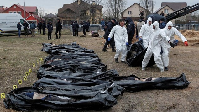 Cuerpos en bolsas para cadáveres  alineados en un campo por los forenses.
