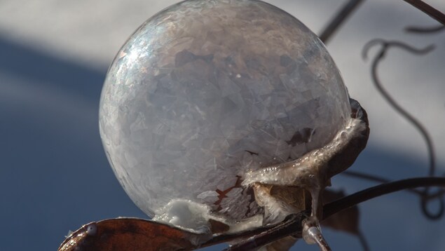 Bulle de savon givrée accrochée sur une brindille. Bulle de savon givrée accrochée sur une brindille.
