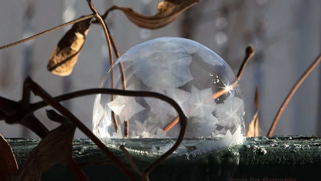 Bulle de savon givrée. Bulle de savon givrée.
