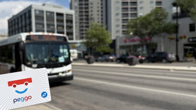Une carte d'autobus peggo devant un bus sur l'avenue Portage