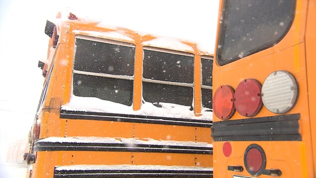 Des autobus scolaires sous la neige.