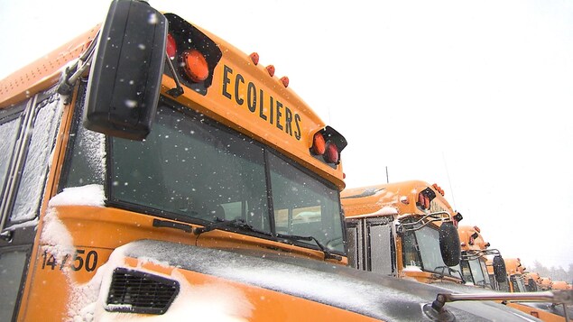 Des bus scolaires enneigés