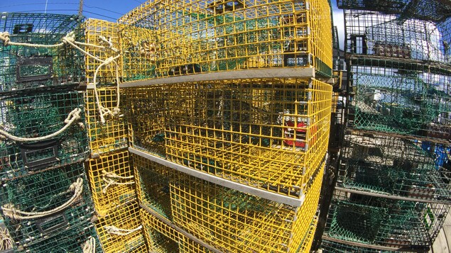 On voit en gros plan des cages à homard vides, empilées.