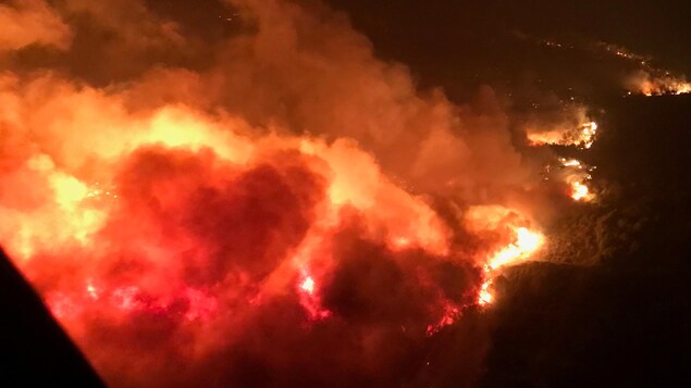 Les flammes ravagent la région de Napa, en Californie Les flammes ravagent la région de Napa, en Californie