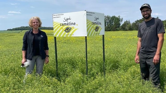 La caméline du Témiscamingue consommée à travers le monde