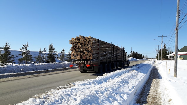 Une augmentation moyenne de 30 % réclamée par les transporteurs de bois