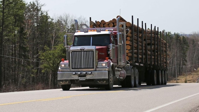 Un camion transportant du bois sur une route.