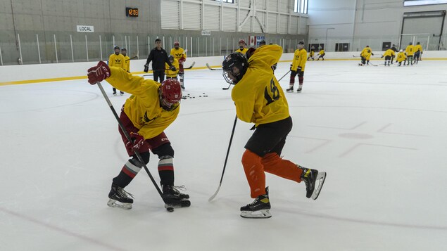 Deux joueurs de hockey s'échangent la rondelle, alors que d'autres plus loin les regardent.