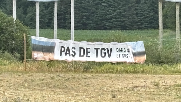 Une bannière dans un champ.