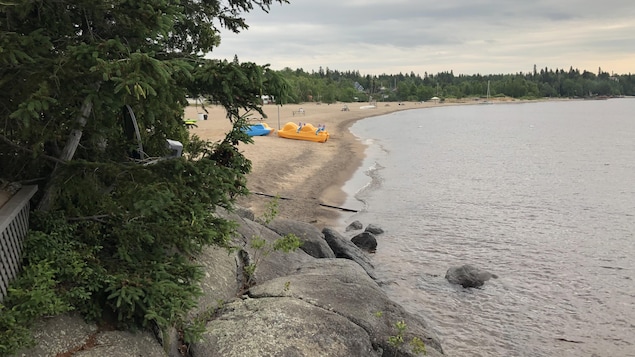 Une plage et un cours d'eau.