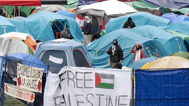 لقطة اليوم لمخيم الدعم للفلسطينيين في حرم جامعة ماكغيل في مونتريال.