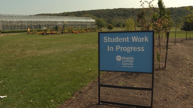 Le campus du Collège Niagara. Le campus du Collège Niagara.