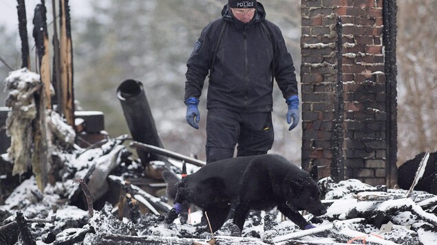 Un chien dans les décombres d'un incendie. Un chien dans les décombres d'un incendie.