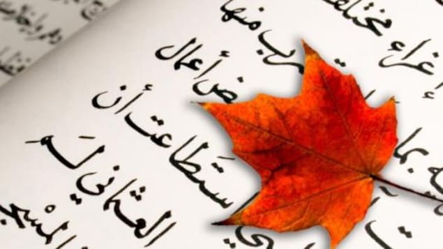 ورقة قيقب حمراء موضوعة على نصّ بالعربية.