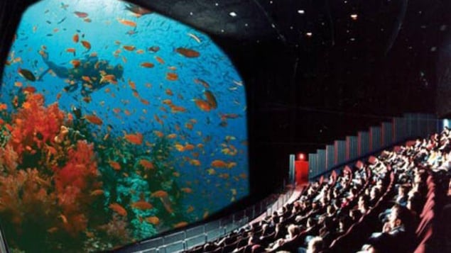 Des gens regardant un film dans une salle de cinéma.