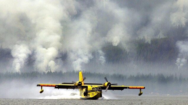 Un canadair CL-215 en activité aux États-Unis en 2003.