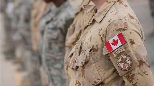 Des militaires canadiens alignés en uniforme de combat.