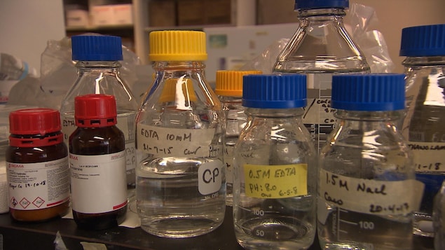 Des bouteilles transparentes contenant des composés chimiques sont déposées sur une tablette dans un laboratoire de recherche.