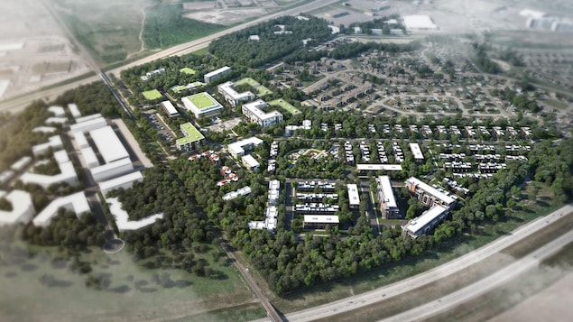 Plan aérien du quartier projeté, avec de nombreux arbres.