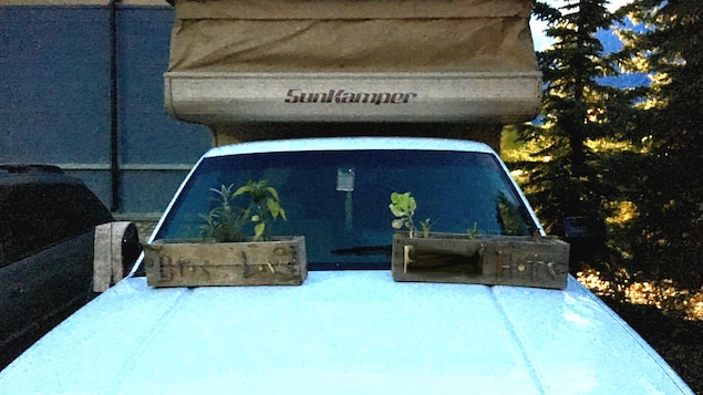Deux boîtes en bois contenant des fines herbes sont déposées sur le capot d'une voiture. Deux boîtes en bois contenant des fines herbes sont déposées sur le capot d'une voiture.