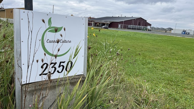  Odeur de cannabis à Drummondville : l’entreprise Canna-Culture est acquittée 