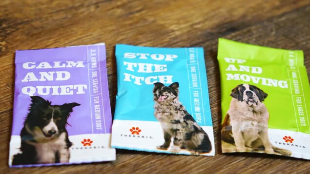 Des produits pour animaux à base de cannabis sont vendus dans un dispensaire de marijuana médicale de Moncton, au Nouveau-Brunswick.
