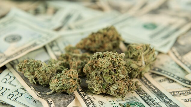 De la marijuana sur des billets De la marijuana sur des billets
