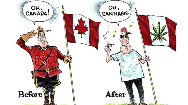 Une caricature parue dans le magazine américain « Mother Jones ». L'article, repris par le « Courrier international » s'intitule : « Le Canada prêt à rafler le marché de l'herbe ». Une caricature parue dans le magazine américain « Mother Jones ». L'article, repris par le « Courrier international » s'intitule : « Le Canada prêt à rafler le marché de l'herbe ».