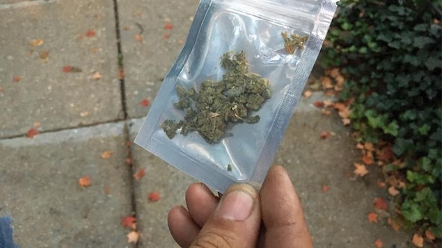 Un « consultant en cannabis » autoproclamé qui se fait appeler Giorgio distribue des cartes de visite dans une rue résidentielle. Un « consultant en cannabis » autoproclamé qui se fait appeler Giorgio distribue des cartes de visite dans une rue résidentielle.