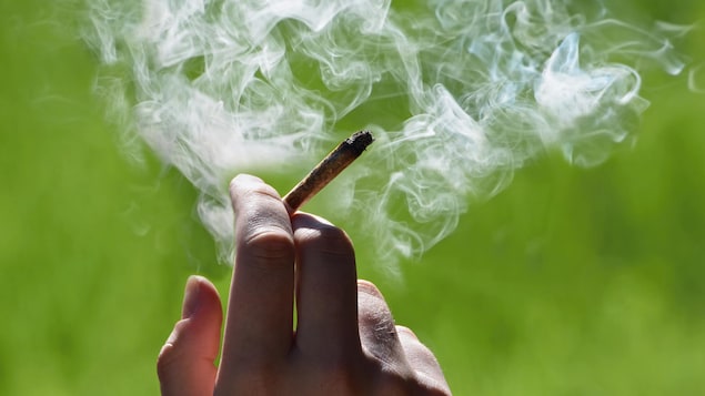 Une personne tient un joint.