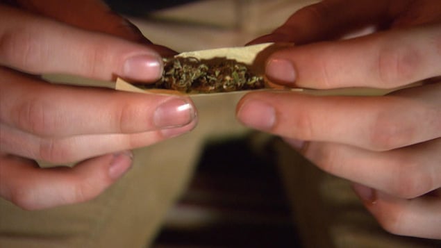 Un individu prépare un joint de marijuana.