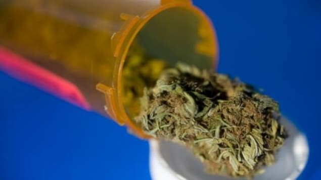 De la marijuana médicinale. De la marijuana médicinale.